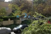 flat for rent in maadi degla semi furnished or furnished New finishing  quite and green area