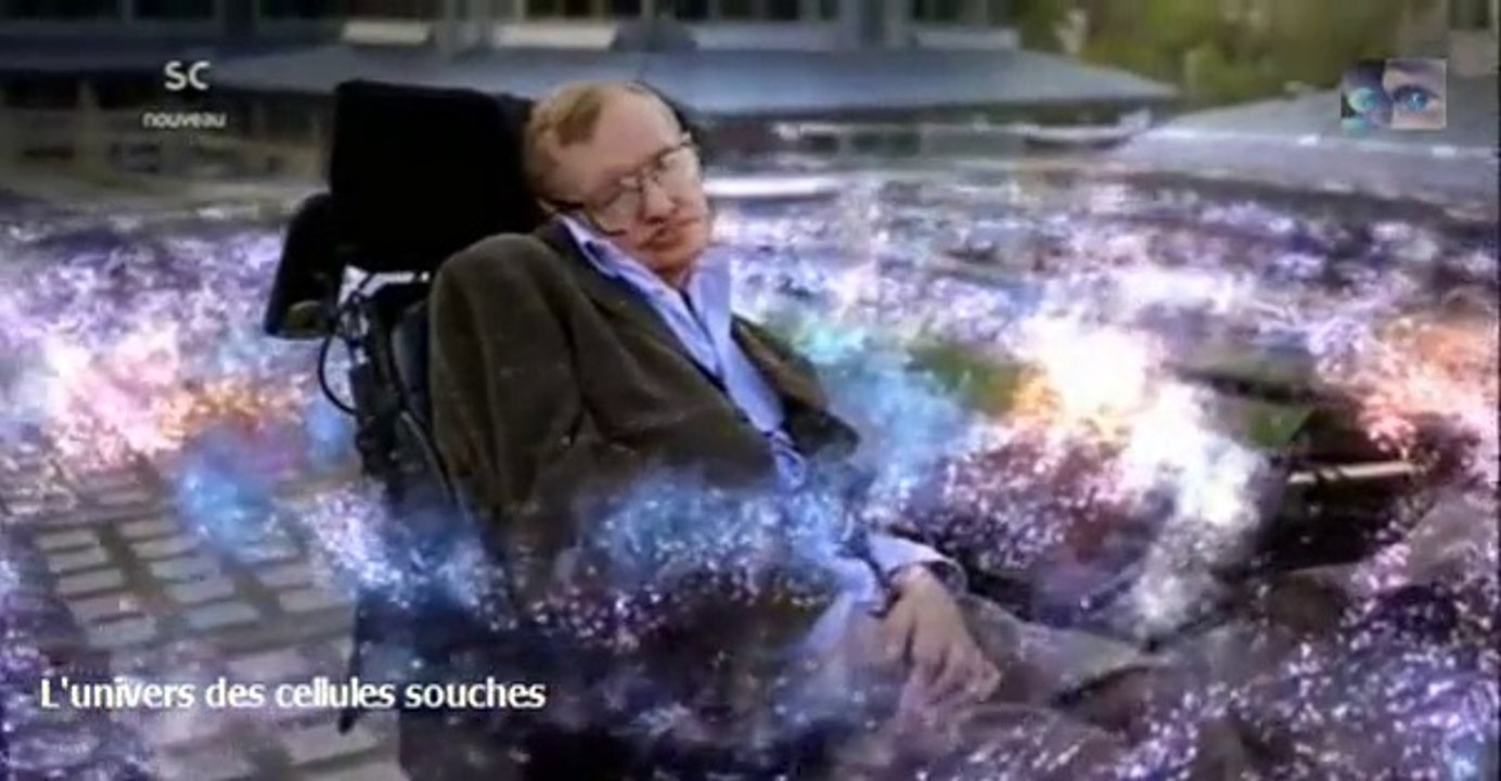 l'univers des cellules souches