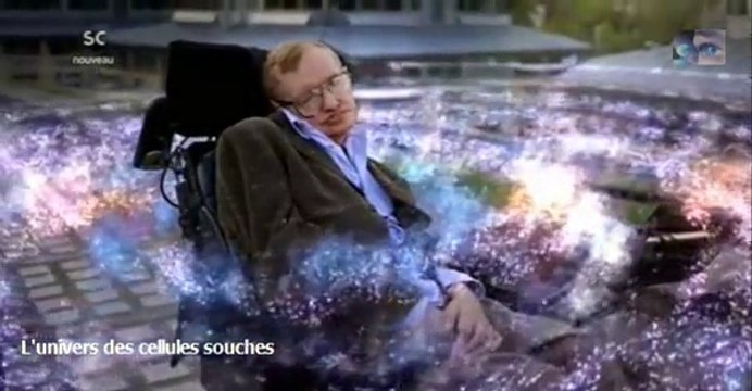 l'univers des cellules souches