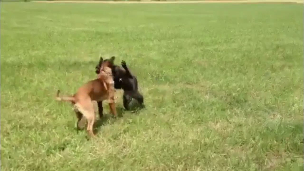 BeAware FStiegl + Sina@ Jetzt gehts looos!