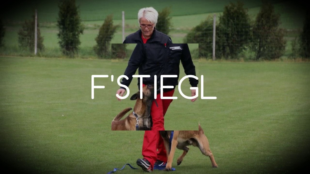 Be Aware F'Stiegl @ Obedience 17 M