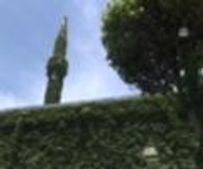 Doğanın sarmaladığı cami