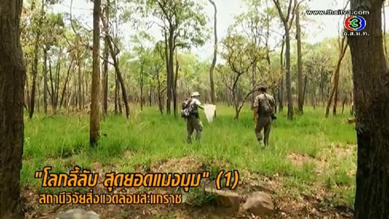เนวิเกเตอร์ - 5 พ.ค 57