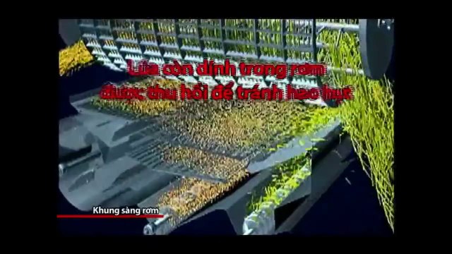 [Đăng Lê] Bán máy gặt đập liên hợp Kubota Dc70 Dc60 Dc95 Thái Lan Nhật Bản bãi cũ Giá rẻ nhất