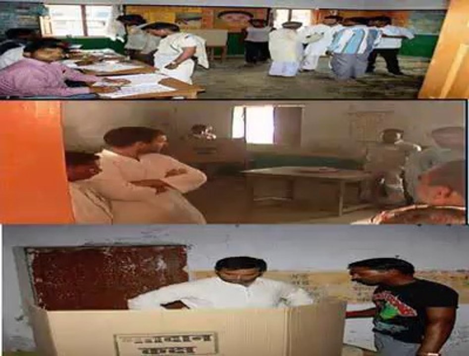 Petition to Disqualify Rahul Gandhi as a candidate for Member of Parliament from Amethi, Lok Sabha Elections 2014