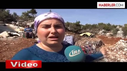 Dört Boynuzlu Dev Yılan Köylüye Korku Saldı