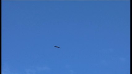 Rando-vol du Mont Démant