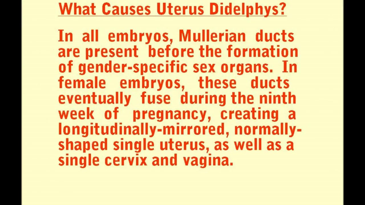 Symptoms Uterus Didelphys