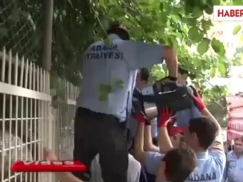 Dut Toplarken Koluna Korkuluk Demiri Saplandı