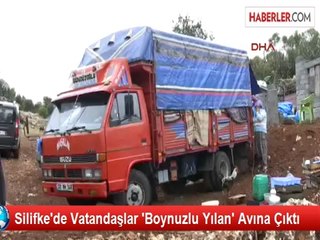 Dört Boynuzlu Dev Yılan Köylüye Korku Saldı