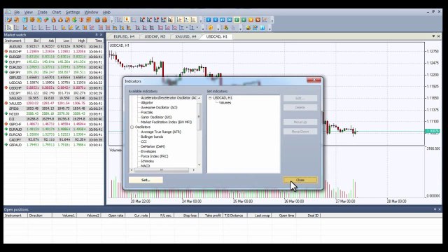 Forex Volume Indicator - Volume Indicators - How to set on NetTradeX Trading Platform