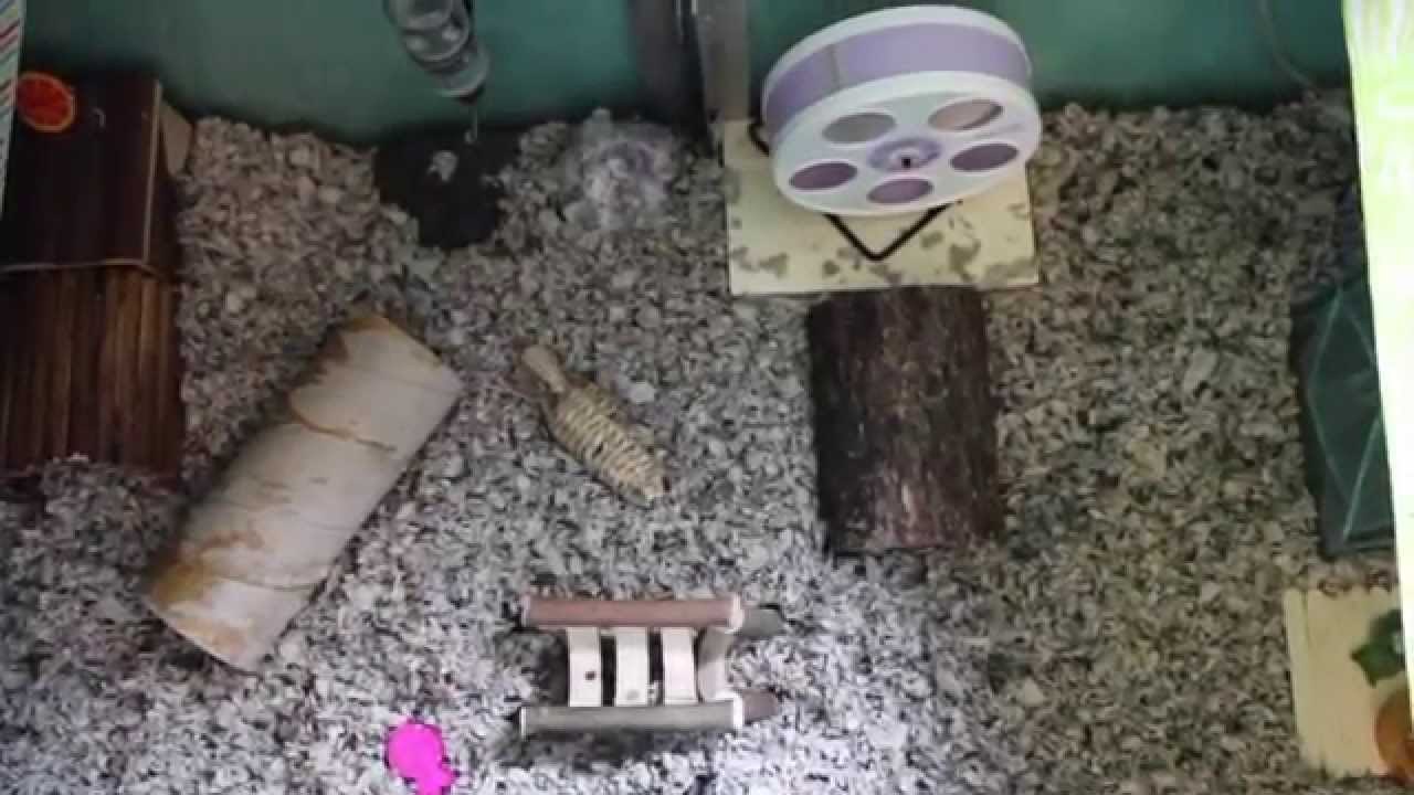CAGE TOURS | May 2014
