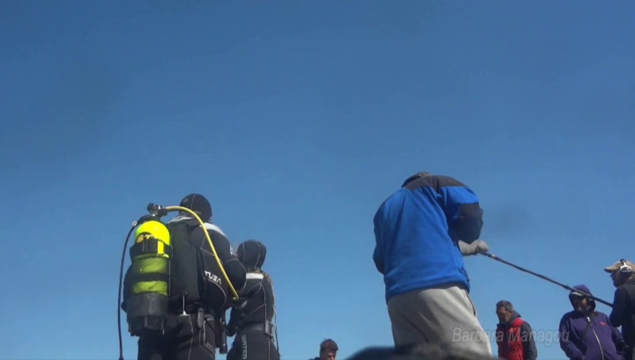 commercial diving Barbara Managou   - shots TV channel movie in the shipyards