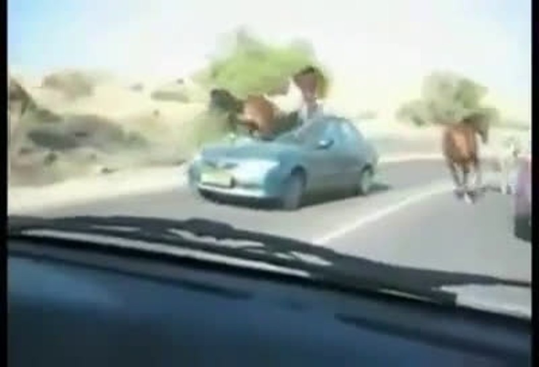 amazing video