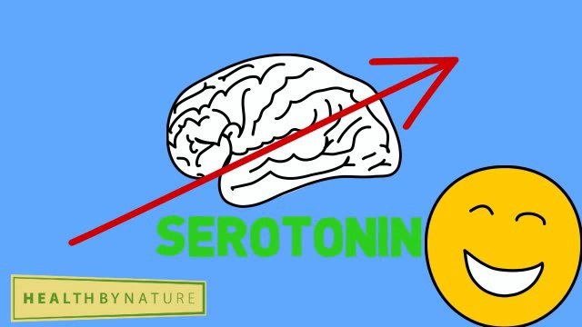 Garcinia Cambogia Extract for Weight Loss Diet Pills Fat Burner (Lipovida)