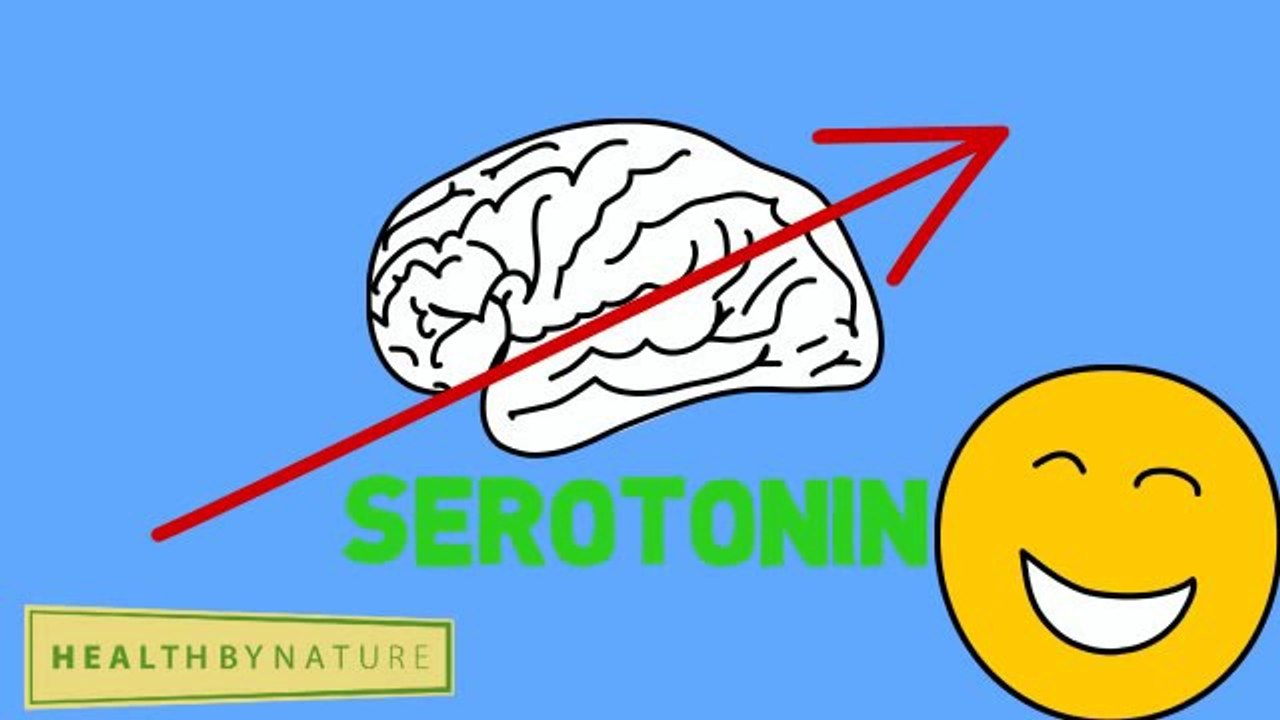 Garcinia Cambogia Extract for Weight Loss Diet Pills Fat Burner (Lipovida)