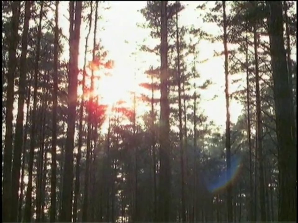 STEH AUF, ES IST KRIEG TEIL 4 : DER WIDERSTAND