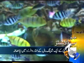 Geo Headlines-08 May 2014-1700