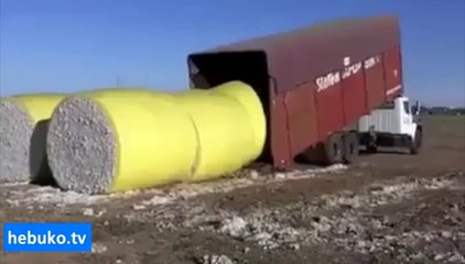 Akıllı insanın hali bir başka