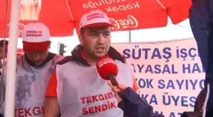SÜTAŞ KARACABEY ULUSAL KANAL RÖPORTAJI 2