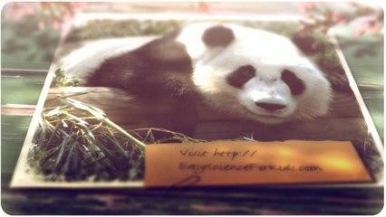 Video introduction about the FREE Panda Bears Worksheet for Kids