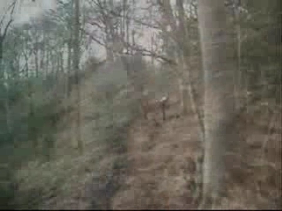Sortie vtt du 20-01-07