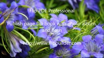 Editeur de page – insérez des images, des galléries photo directement dans le PDF flipping book
