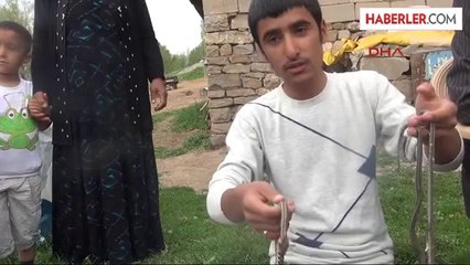 Yılanlarla Aynı Evde Yaşıyorlar