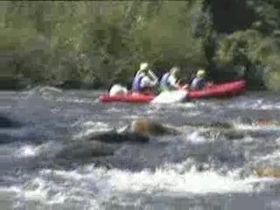KANOE BEDARIEUX 2006