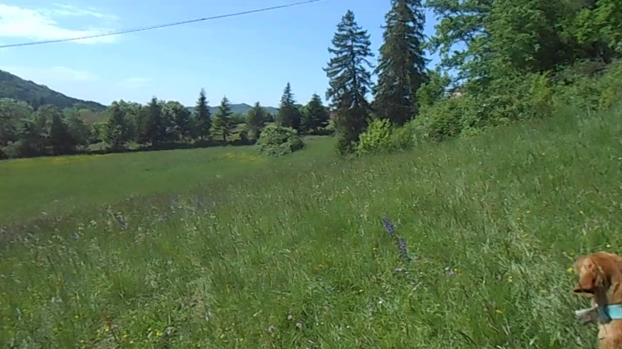 première sortie des I (6 mois)