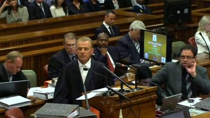 Pistorius social worker says bladerunner was "heartbroken"
