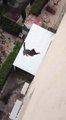 Cat falling from the top of a building. Crazy!
