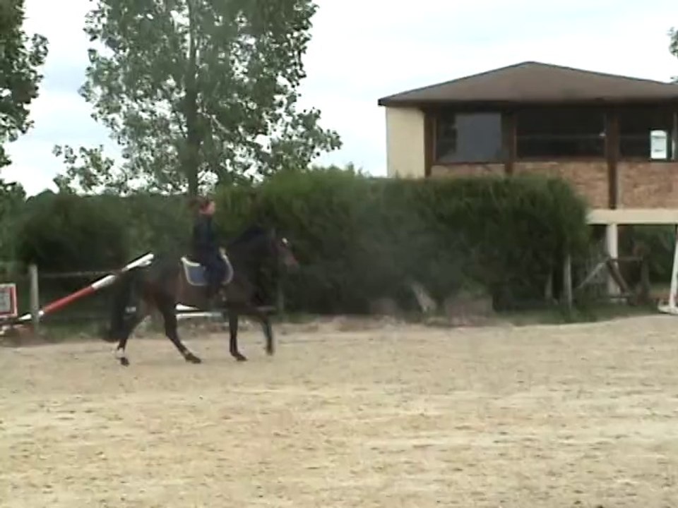 galop droite