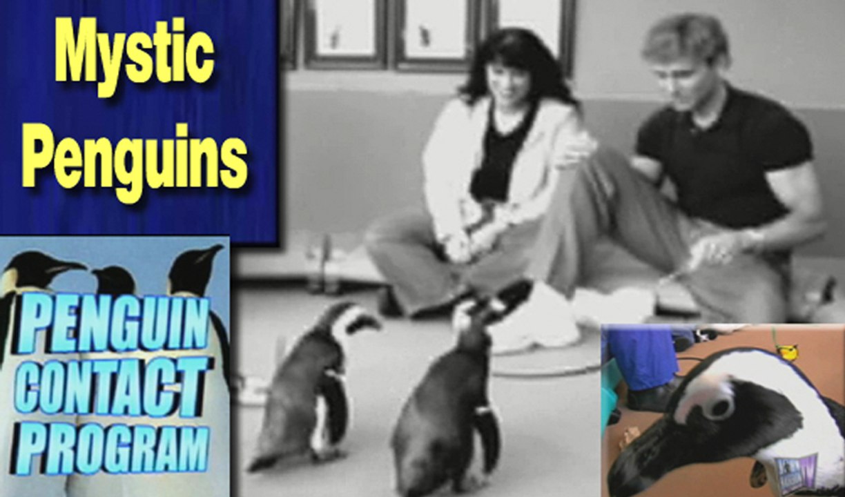 PLAYING with PENGUINS - Walking with John & Fran