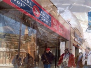 Turrs By Express Post by Bernie Sheaves