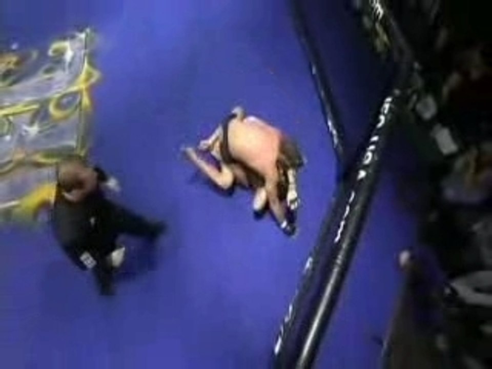 Renato Babalu Sobral Vs Shogun Rua