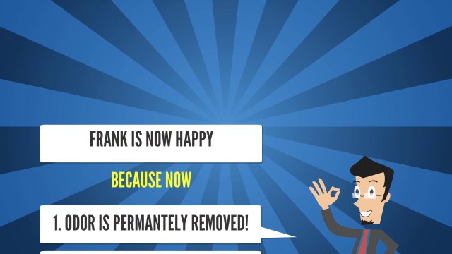 VEHICLE ODOR REMOVAL SERVICES