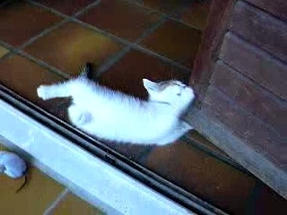 c'est super la vie !