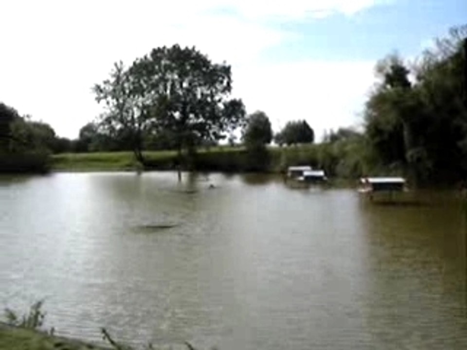 le terrain