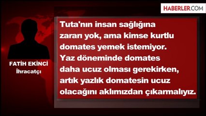 Yazın Domates Daha Pahalı Olacak