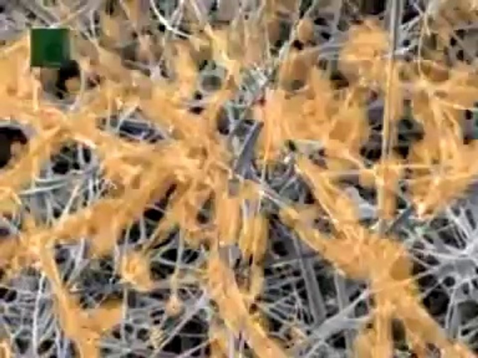 0982.808.471 Máy nén khí puma đài loan, máy nén khí puma trung quốc