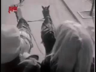 Gönül Yazar – Berkant
