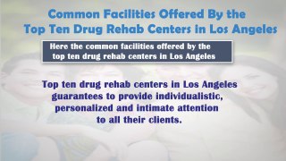 Drug Alcohol Addiction Rehab Treatment and Recovery Services