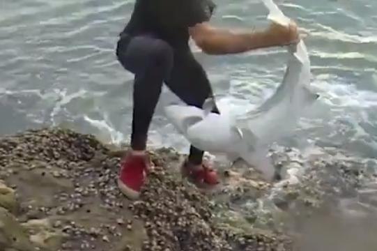 Best Of The Week #58: Extreme Fishing, Skate, Horse Surfing, Stunt, Wakeboard, Ski, Surf, Kitesurf, Parkour