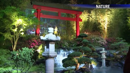 AFP - Le JT, 1ère édition du vendredi 9 mai