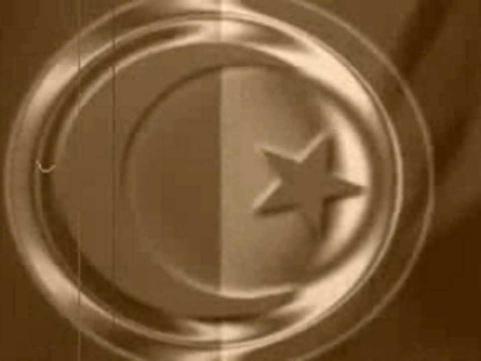 Montage (LIM)