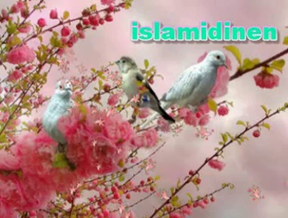 Hayati Kullu Ha Lillah حياتي كلها لله