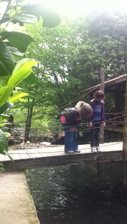 MAŞUKİYE'DE  ALABALIK HAVUZU