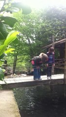 MAŞUKİYE'DE  ALABALIK HAVUZU