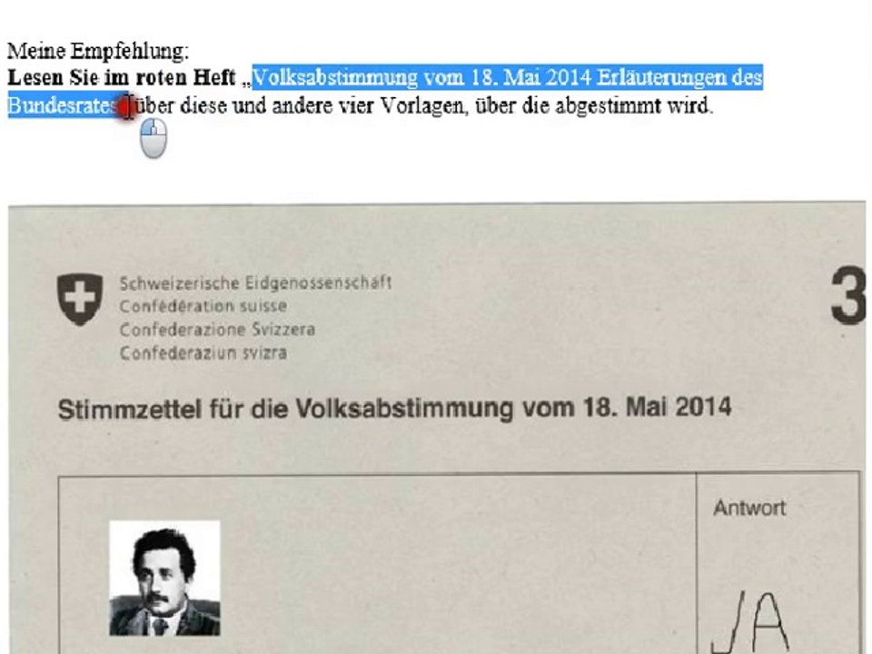 Der 8. Bundesrat Albert Einstein zur Mindestlohninitiative
